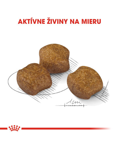 ROYAL CANIN Medium dental care 10 kg