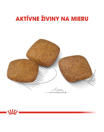 ROYAL CANIN Maxi Relax Care granule pre dospelých psov, veľké plemená, vystavené stresu 9 kg
