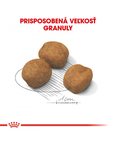 ROYAL CANIN Giant Puppy 1 kg granule pre šteňatá obrích rás