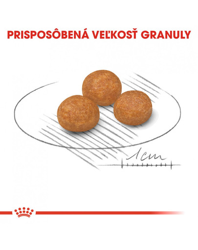 ROYAL CANIN X-Small adult 1.5 kg granule pre dospelé trpaslíčie psy