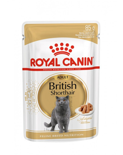 ROYAL CANIN British Shorthair Adult 10kg + kapsičky British Shorthair 12x85g