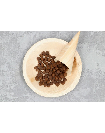 COUNTRY&NATURE Granule pre psov z jahňacieho  a morčacieho mäsa 14 kg