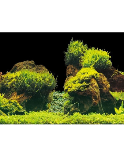 AQUA NOVA Obojstranné pozadie akvária S 60x30cm, skaly / rastliny