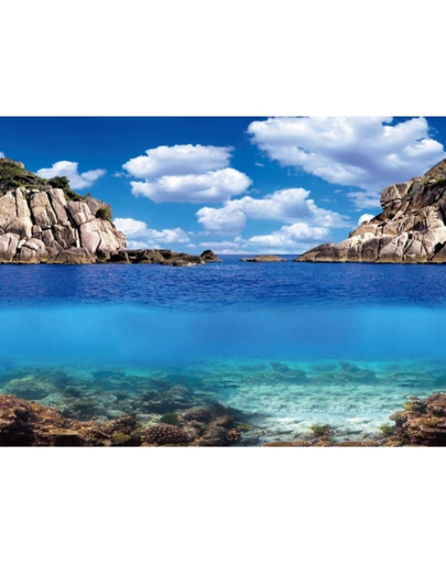 AQUA NOVA Obojstranné pozadie akvária L 100x50cm rastliny / oceán