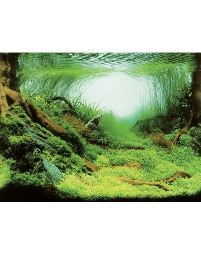 AQUA NOVA Obojstranné pozadie akvária S 60x30cm rastliny / oceán