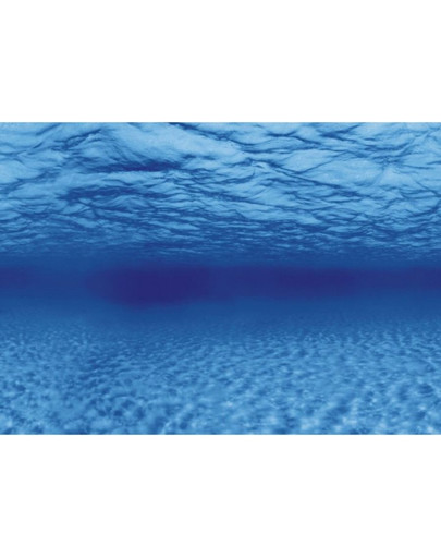 AQUA NOVA Obojstranné pozadie akvária L 100x50 cm, korene / voda