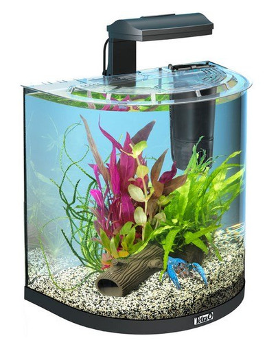 TETRA AquaArt Explorer Line 30 l Goldfish