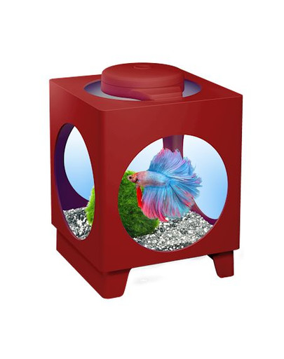 Tetra Betta Projector akvárium set bordové 1,8 l