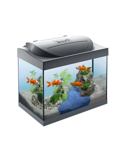 TETRA Starter Line LED 30 l Goldfish Zestaw Akwariowy dla Złotych Rybek