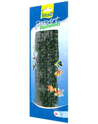 TETRA DecoArt rostlina Hygrophila 30 cm