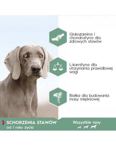 EUKANUBA Daily Care Granule pre dospelých psov s citlivými kĺbmi  2,3 kg