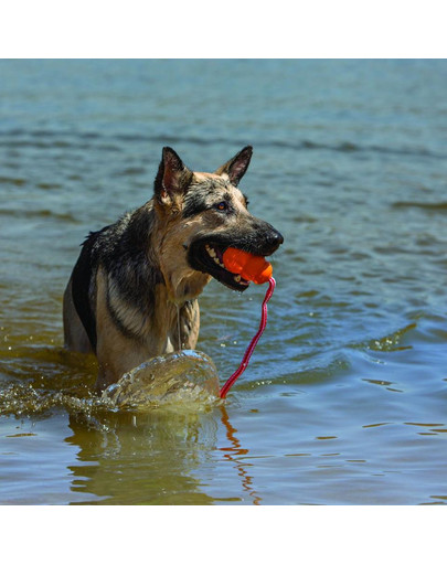 KONG Aqua M plávajúca hračka pre psa