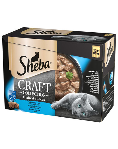 SHEBA Craft Collect rybacia príchuť 4x 12x85g