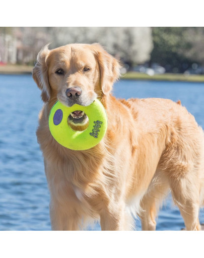 KONG Airdog Squeaker Donut M hračka pre psa