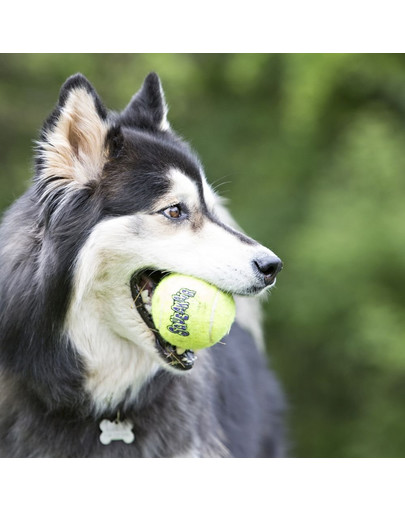 KONG SqueakAir Ball XS 3 ks lopta tenisová pre psa