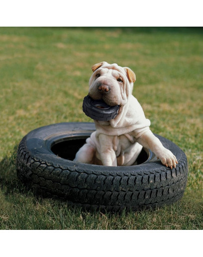 KONG Extreme Tyres S odolné hryzátko pre psa