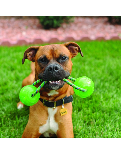 KONG Squeezz Ball with Rope L lopta pre psa s rukoväťou