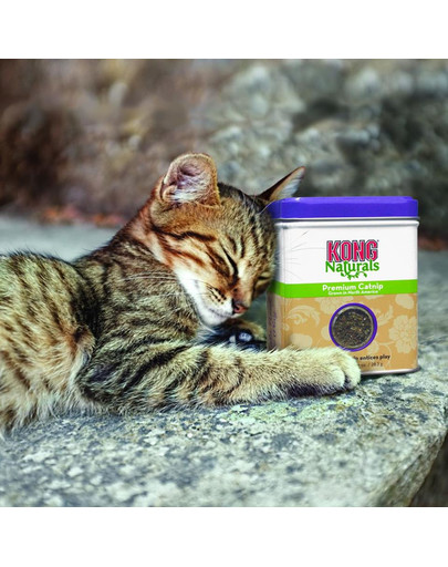KONG Naturals Catnip catnip sušený pre mačky 56.7g