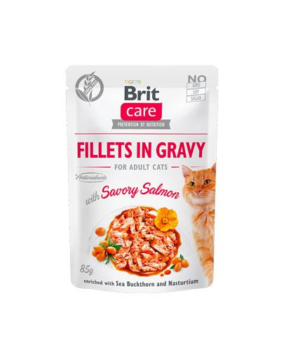 BRIT Care Filety z lososa v omáčke 24 x 85 g