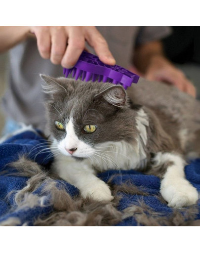 KONG Kefa Cat ZoomGroom na masáže aj česanie mačky