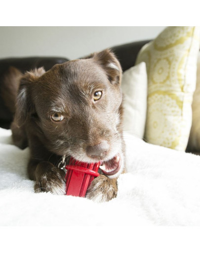 KONG Dental Stick S 8,5 cm dentálné hryzátko pre psov