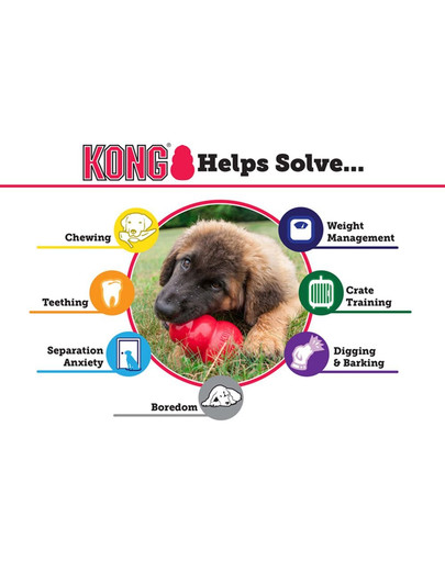 KONG Senior S hryzátko na maškrty pre staršie psy