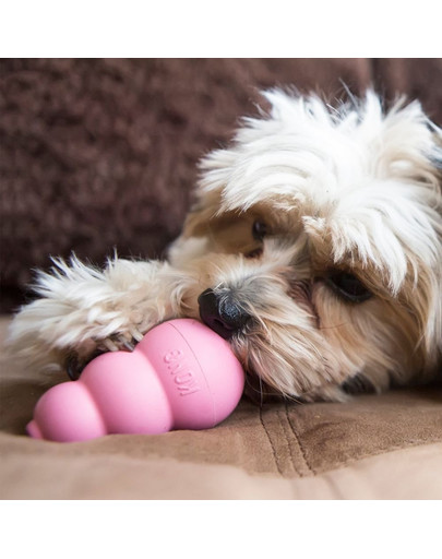 KONG Puppy S hryzátko na maškrty pre šteniatka