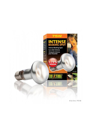 HAGEN ExoTerra sun glo 75 W