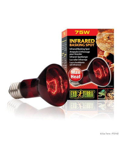 HAGEN ExoTerra žiarovky heat glo 75 W 63 mm