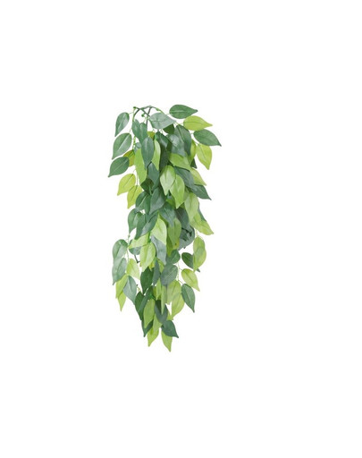 Trixie plastová rastlina Ficus 20x50 cm