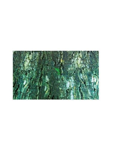 Trixie Pozadie obojstranné Kôra/Dažďový prales 60x150 cm