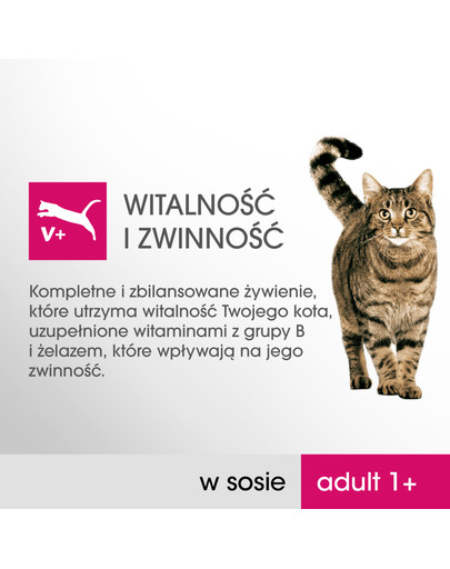 PERFECT FIT Cat Adult 1+ mäsové sáčky 4x85 g
