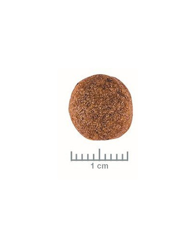 ROYAL CANIN Veterinary Diet Dog Gastrointestinal 2kg