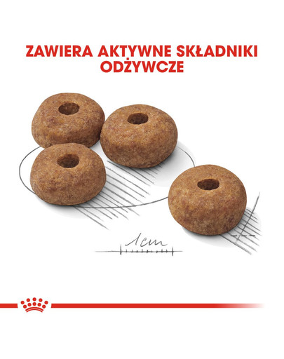 ROYAL CANIN Maxi Digestive Care 12 kg granule pre veľké psy s citlivým trávením