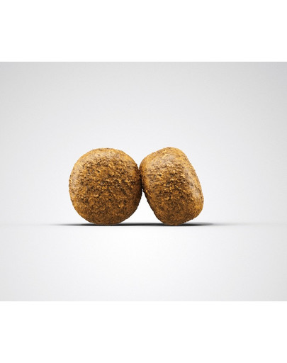 JOSERA Dog Balance 900g
