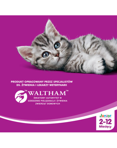 WHISKAS Junior s kuracím mäsom 14kg