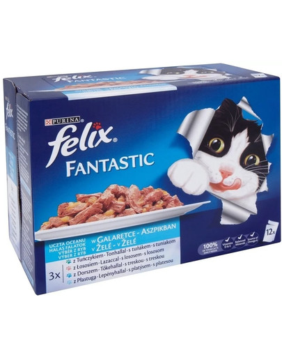 FELIX Fantastic Kapsičky v želé 72x100g