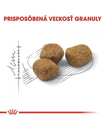 ROYAL CANIN Indoor 7+ 15 x 400g granule pre starnúce mačky žijúce vo vnútri