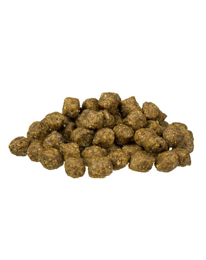 BOSCH Mini Adult Jahňacie mäso a ryža 15 kg