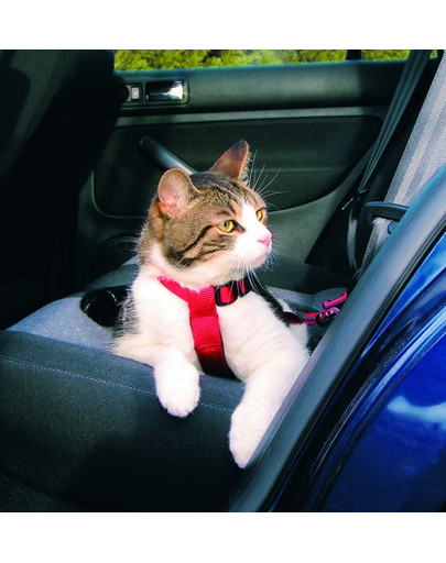 TRIXIE Postroj do auta pre mačky 