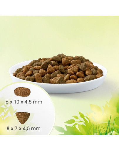 PERFECT FIT Natural Vitality  s kuracím a morčacím pre dospelé mačky 6 kg