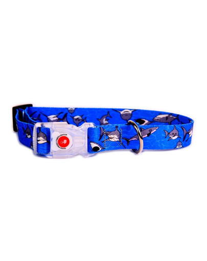 FERA Obojok LED Shark 20-35 cm 20 mm