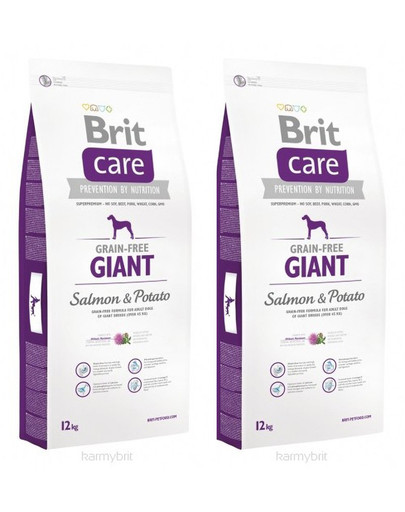 BRIT Care Grain-Free Giant salmon & potato 2 x 12 kg