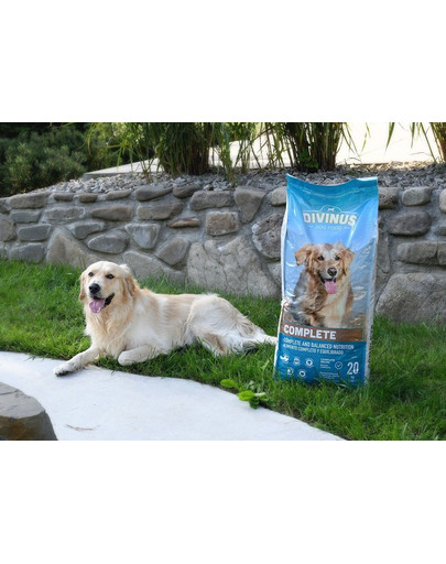 DIVINUS Complete 20 kg