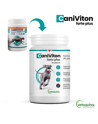 VETOQUINOL Caniviton Forte Plus 90 tbl