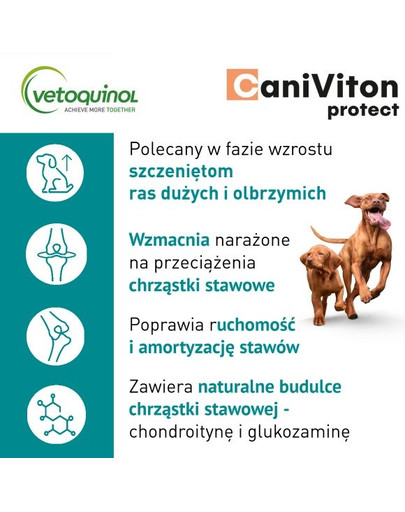 VETOQUINOL Caniviton protect 90 tbl pre psov veľkých a obrích plemien