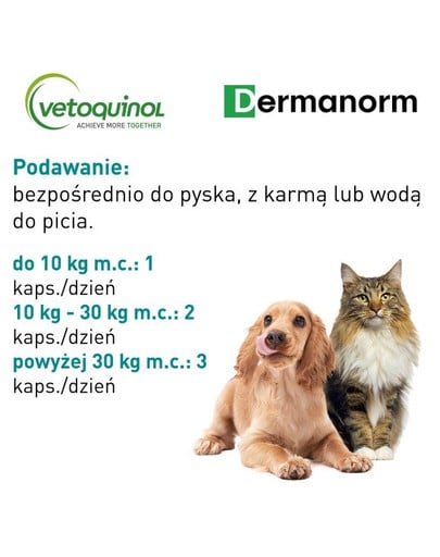 VETOQUINOL Dermanorm VTQ care 90 tbl pre psov a mačky
