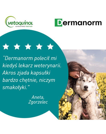 VETOQUINOL Dermanorm VTQ care 90 tbl pre psov a mačky