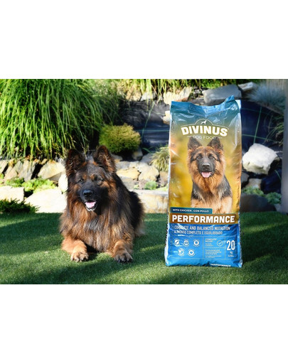 DIVINUS Performance 20 kg