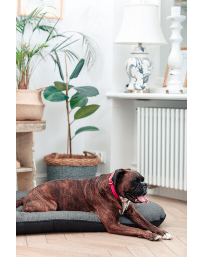 FERA Sunset Ponton legowisko dla psa XL 114 x 83 x 10 cm